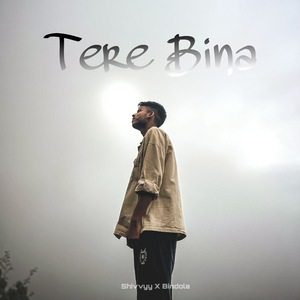 Tere Bina