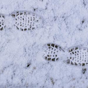 【Free】vagrant （Trap Beat）