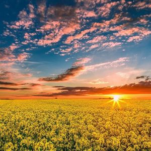 最好的我们(3D版)_（cover:王栎鑫）