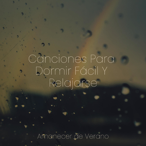 El Silencio de Terciopelo del Crepúsculo