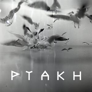 Ptakh