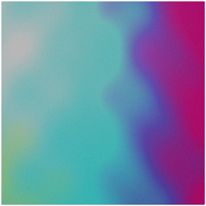 THE OTHER SIDE OF PARADISE (Cover)