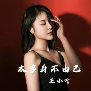 太多身不由己 (DJ德朋版)