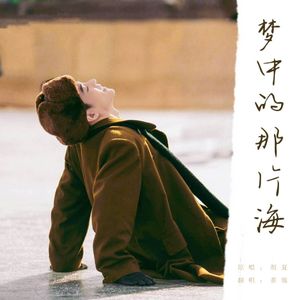梦中的那片海（翻自：胡夏）