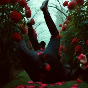 Advantages (How Do I?)