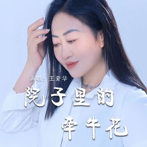 院子里的牵牛花