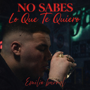 No Sabes Lo Que Te Quiero