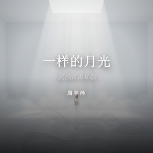 一样的月光
