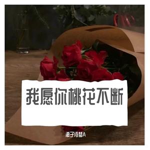 我愿你桃花不断（翻自 浪子诗梦A）