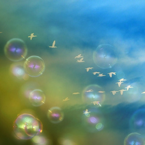 黄昏　移りゆく空の色