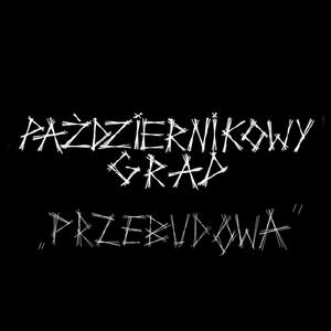 Przebudowa