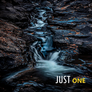 Just One (feat. Kajsa Beijer)
