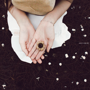 따스한 가을의 위로