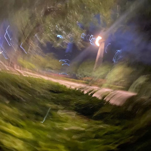 虚拟化的租赁物