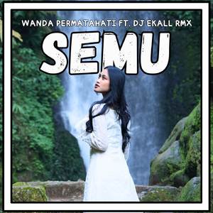 SEMU (Remix)