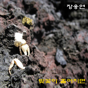 벚꽃이 흩어지면