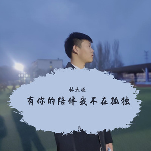 有你的陪伴我不在孤独