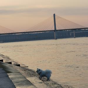 on my way(cover 萨吉）（翻自 萨吉）