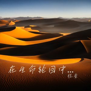 在生命轮回中找到你