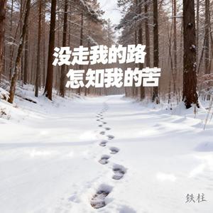 没走我的路怎知我的苦