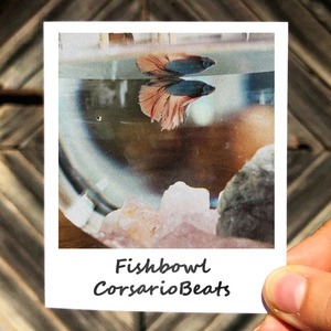 Fishbowl