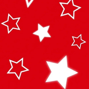 首婊（手上戴的）