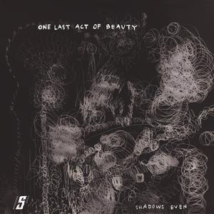 Selfdestruction Project自我毁灭计划