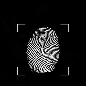 southernmos（南端）