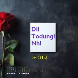 Dil Todungi Nhi