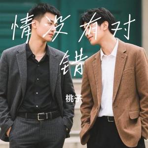 情没有对错 (Cover 阿梨粤)