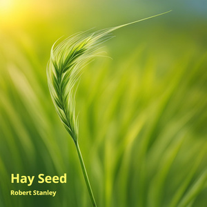 Hay Seed