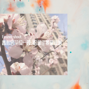 春似昙花仅一现，恰逢佳景莫徘徊