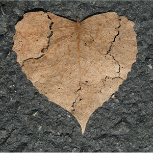 Eva Cassidy-Autumn Leaves（边晨子 / 雷莉君 / 刘曼 remix）