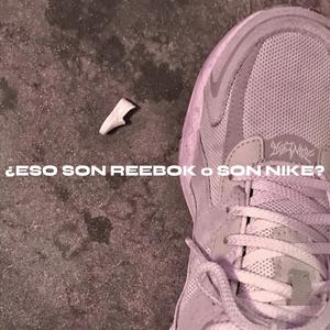 ¿ESO SON REEBOK o SON NIKE?