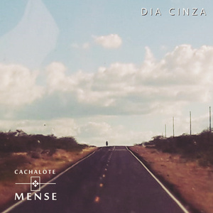 Dia Cinza