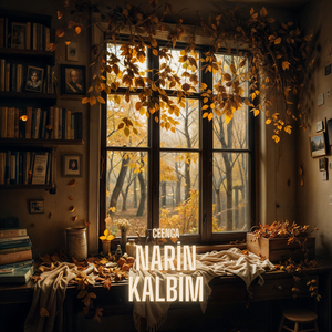 Narin Kalbim