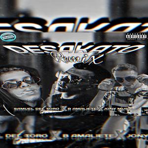 Desakato (Remix)