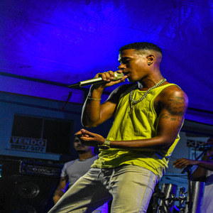 Bloquinho de Bicho 2024