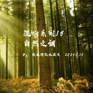 夜空中最亮的星(暴雨声+蝉鸟鸣)