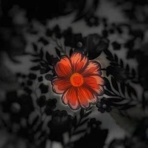 人间天使DEMO(pord by LONECLOUD)