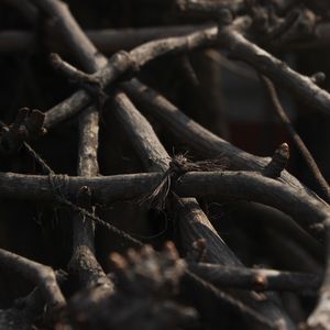 一分半DEMO-未混版 伴奏