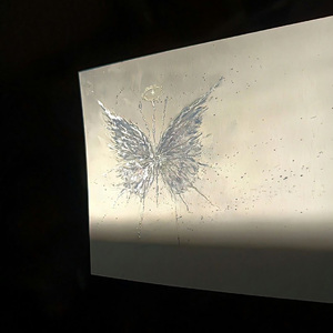 褪黑素（cover：江皓南）