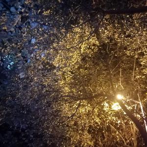 这是我一生中最勇敢的瞬间