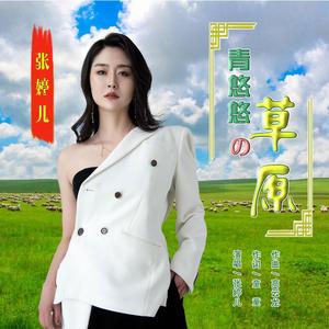 青悠悠的草原 (DJ版)