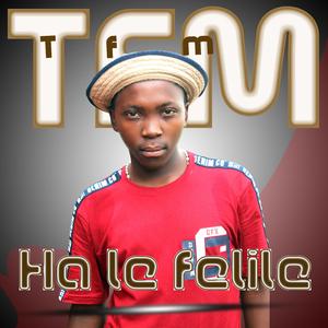 Ha le felile