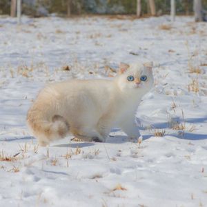 致你所爱