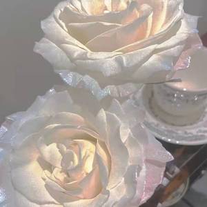 情人(女生版)(翻自 蔡徐坤)