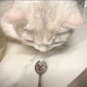 莫文蔚-外面的世界（王悠然）（helium云 remix）