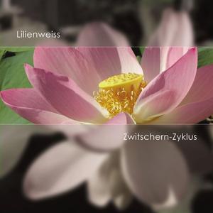 Zwitschern 1