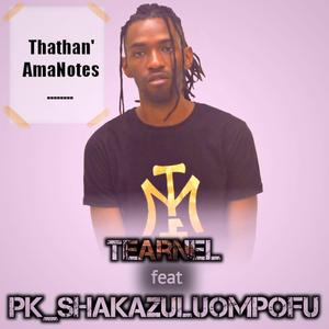 Thathan ama notes (feat. PK_ShakaZuluOmpofu)
